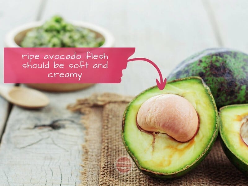 avocado cut in half with seed