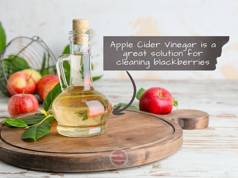 apple cider vinegar for cleaning blackberries