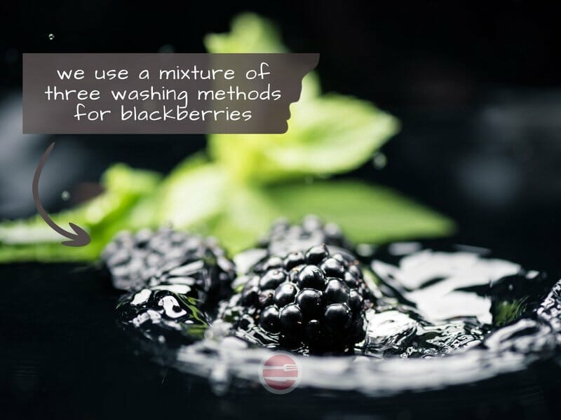 blackberries in water