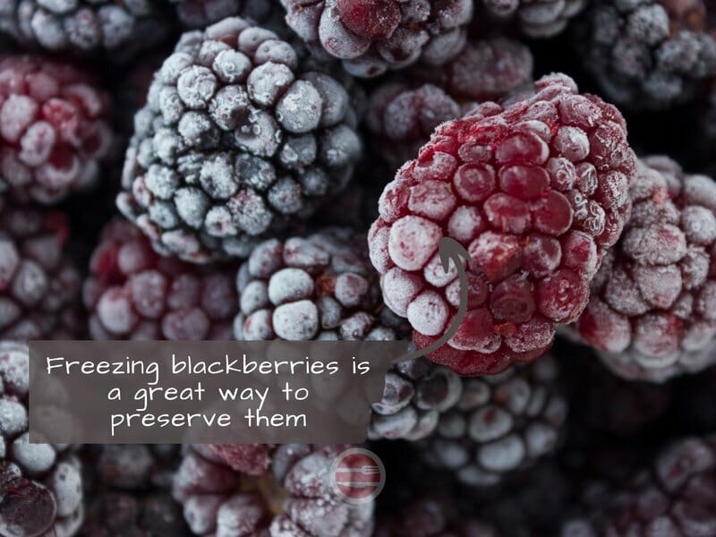 frozen blackberries