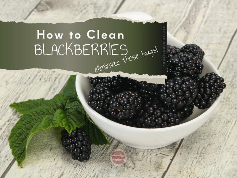 How to Clean Blackberries