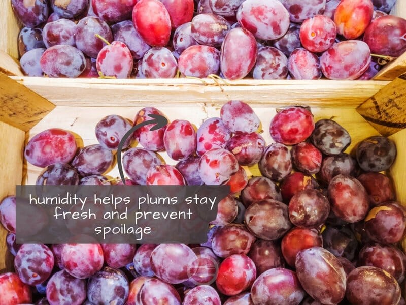 plums in boxes
