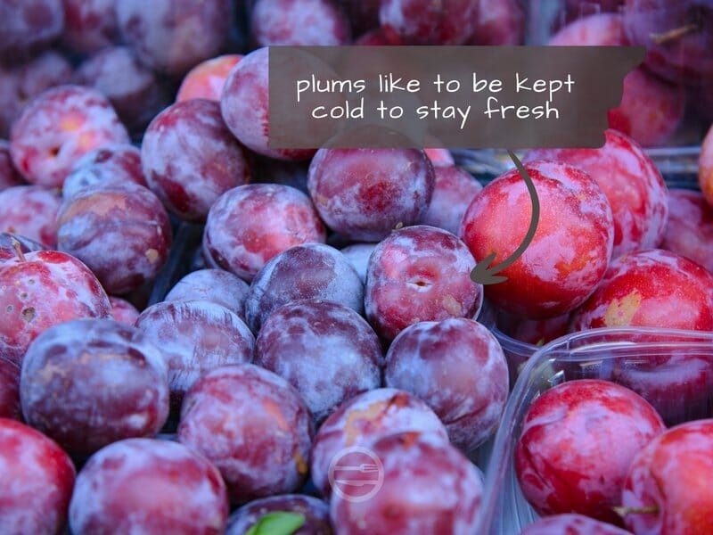 plums storage in fridge
