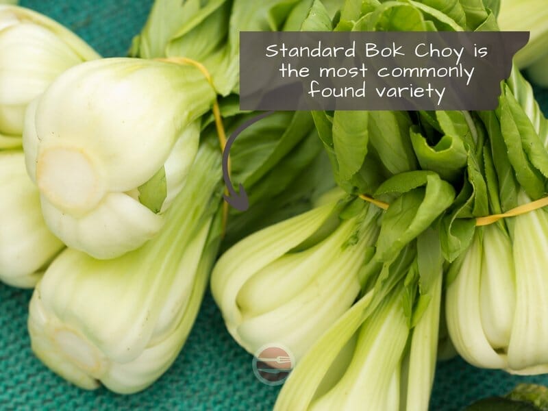 Standard Bok Choy