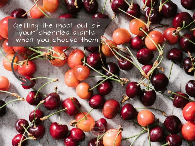 Sweet and Sour Cherries