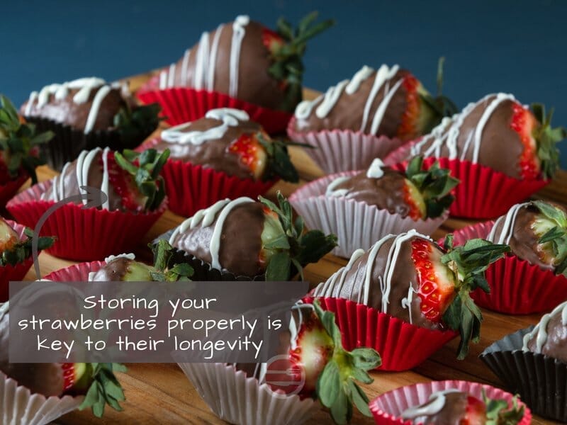 chocolate covered strawberries